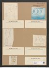 Cystopleura musculus var. constricta (Breb.) V.H. (de-Toni-Nr.: Genus 103, Species 3128) Zeichnungen Sammlung Grunow Nr. 6412 (NHMW-BOT-W0375089)